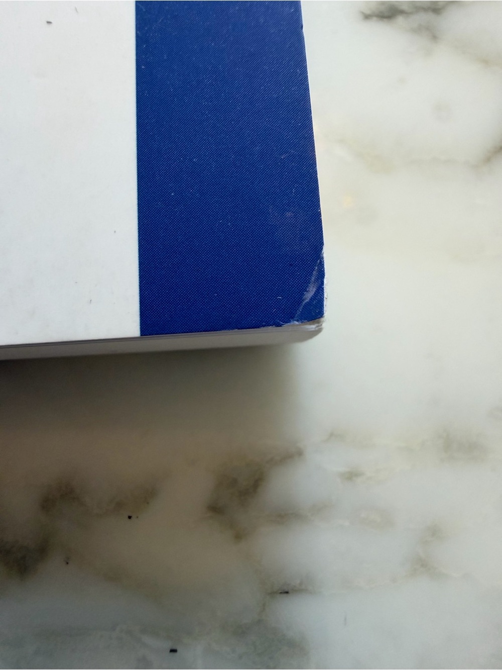 NWT Denik Classic Layflat Lined Notebook Crab Blue Stripe Journal - Picture 3 of 5